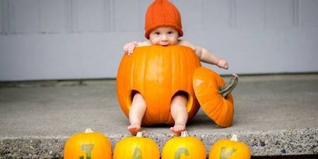 In Photos: Ellen DeGeneres Shares The Best Photos of Cute Babies in Pumpkins!