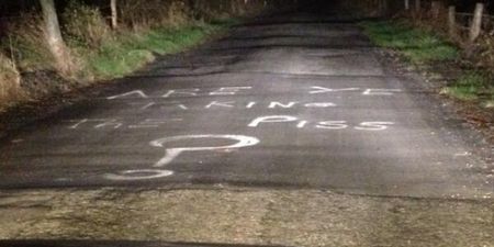 Photo: Someone in Carlow Really Isn’t Happy About the State of the Irish Roads