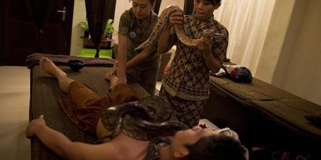 In Images: Snake Massages Are a Thing And They Look Absolutely Terrifying