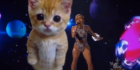 VIDEO: You’ve Got To Be Kitten – Miley Cyrus Is Certainly No Pussy Cat On Stage