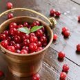 Deliciously Sweet: How-To Make That Perfect Cranberry Sauce