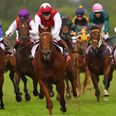 Beginner’s Guide to Leopardstown with The Tote