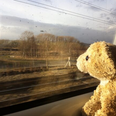 PICS: Woman’s Epic Adventure With Little Girl’s Lost Teddy Bear Goes Viral