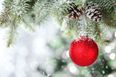 Photo: 750 Metres Tall and Decorated with More Than 1000 Lights; is this the “World’s Biggest Christmas Tree”?