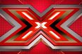 Shiitake Mushrooms – Memorable Moments From XFactor 2013