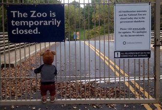 Gallery: Images That Won The Internet in 2013