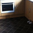 GALLERY: Children That Are Really Bad At Hide And Seek Will Make Your Day