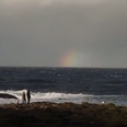 Beautiful Video: “Changes” – Filmmaker Documents His Journey Across Ireland