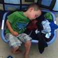 In Pictures: This Adorable Four-Year-Old Can Sleep Anywhere