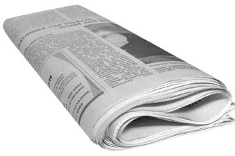 “90 Farting Cows Start Fire in Germany”: Here Are the Best Headlines of the Week