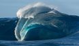 A Non Swimmer Swept Out To Sea Endures 60 Hour Wait For Rescue