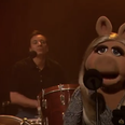 Take A Load Off Fallon: The Muppets Join Jimmy For An Epic Goodbye To Late Night