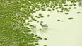 Pic Of The Day: Incredible Aerial View Of African Savannah