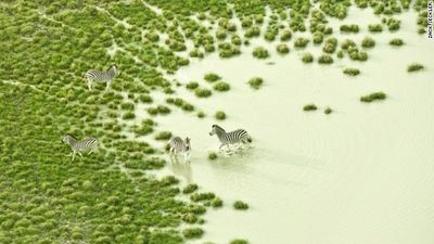 Pic Of The Day: Incredible Aerial View Of African Savannah