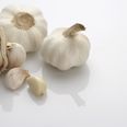 Food High Five – Five Reasons Garlic Is Good For You