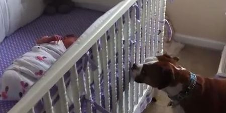 VIDEO: Boxer’s Reaction To Newborn Baby Crying Will Melt Your Heart