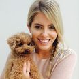 PICTURE: Mollie King Posts Cute Picture of Pooch Alfie