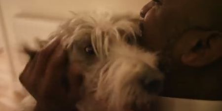 WATCH: This Touching Video Supporting Dog Adoption Warmed Our Hearts