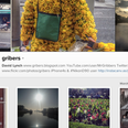 Gribers – This Week’s Must Follow Irish Instagram Account