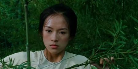 Crouching Tiger, Hidden Dragon Prequel in the Works