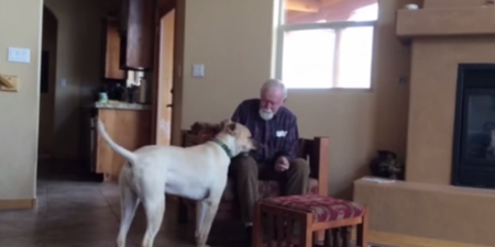WATCH: Daughter Catches Heartbreaking Moment Near Mute Father Speaks With Their Family Dog