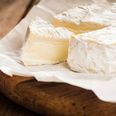 Cheese of the Month: Camembert