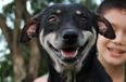 Nine-Year-Old Boy Creates Makeshift Animal Shelter To Help Stray Dogs