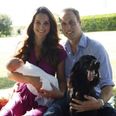 Lupo Laps Up the Limelight – Royal Dog Set To Feature in New Children’s Book Series