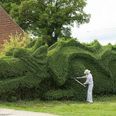 IN PICS: Gardener Spends 10 Years Cultivating THIS Hedge