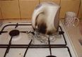 13 People Who Definitely Have No Idea What They’re Doing in the Kitchen