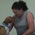 VIDEO: Meet Rosie, A Dog Who Has Mastered The Art Of Sign Language