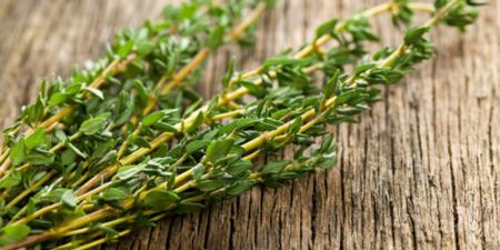 It’s About Thyme! There’s an Even Better Way To Deal with Those Monthly Cramps