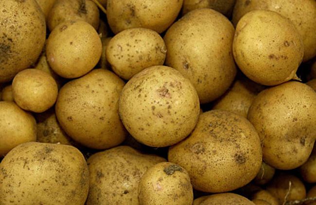 UFU Watch - Potato Promotion Gains Momentum | Ulster Farmers Union