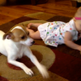 VIDEO: Baby and Buddy – The Cutest Lesson Ever