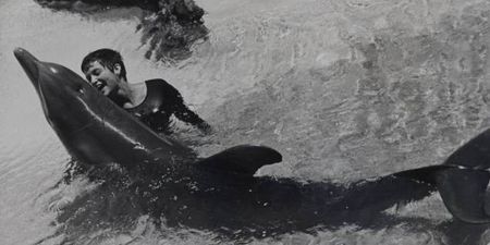 Researcher Speaks Out About Her Sexual Experiences With A Dolphin