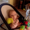 VIDEO: Puppy Guilt Leads To One Beagle Showering This Baby With Toys