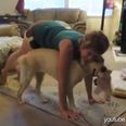 Happy Tuesday! This Compilation Of Animals Interrupting Their Owner’s Yoga Sessions Should Make Your Day