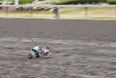 VIDEO: Wheelchair Bound Dog ‘Anderson Pooper’ Competes In Wiener Dog Rally