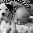 VIDEO: Baby And Puppy Have A Snuggle. It Is The Cutest Thing Ever.