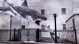 Sharknado 2 And Minority Report- The Best Movies On TV This Week