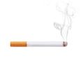 Smoking Stinks: Warning Issued As Counterfeit Cigarettes Found To Contain ‘Human Excrement’