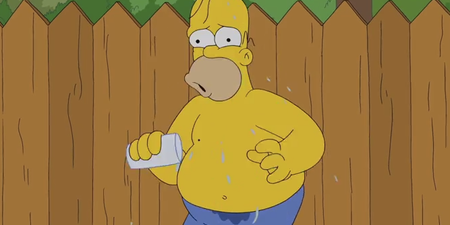WATCH: Homer Simpson Completes The Ice Bucket Challenge, Nominates Flanders… Twice