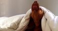 RISE AND SHINE! This Dog’s Reaction To An Alarm Is Exactly How EVERYONE Feels