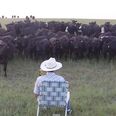 VIDEO: One Mooving Performance From This Farmer Brings On A Stampede Of Cows