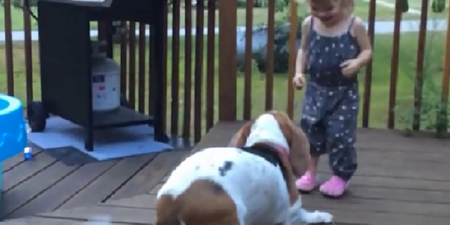 WATCH: This Toddler Is Having Too Much Craic Playing With Her Rescued Puppy