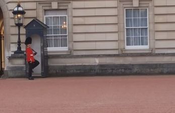Buckingham Palace Guard Facing Disciplinary Action After ‘Dancing’ Video