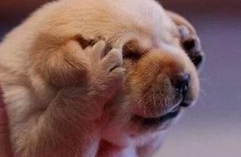 11 Things Irish People Can’t Cope With