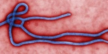 First Case of Ebola Confirmed In The US
