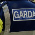 PIC: A Few Ladies Lost The Run Of Themselves Over This Galway Garda