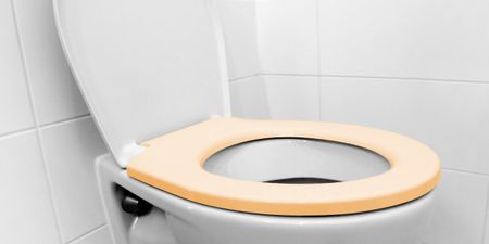 Dublin Woman Gets €28,000 After Falling off Toilet